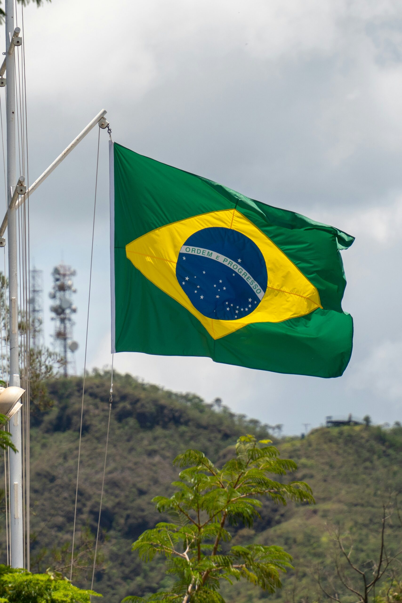 fernando-dantas-SaBD1VA7Rsk-unsplash fernando-dantas-SaBD1VA7Rsk-unsplash